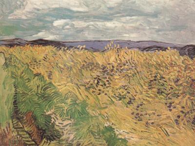 Vincent Van Gogh Whear Field with Cornflowers (nn04) Spain oil painting art